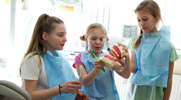 Kinder halten großes Modellgebiss in der Hand